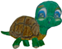 turtle